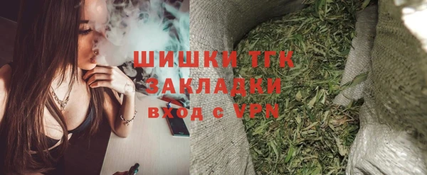дмт Сатка