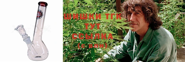 дмт Сатка