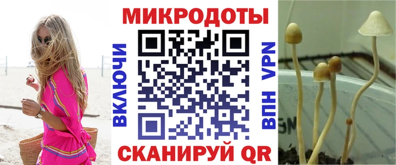 Псилоцибиновые грибы GOLDEN TEACHER  KRAKEN вход  Шатура  купить  сайты 