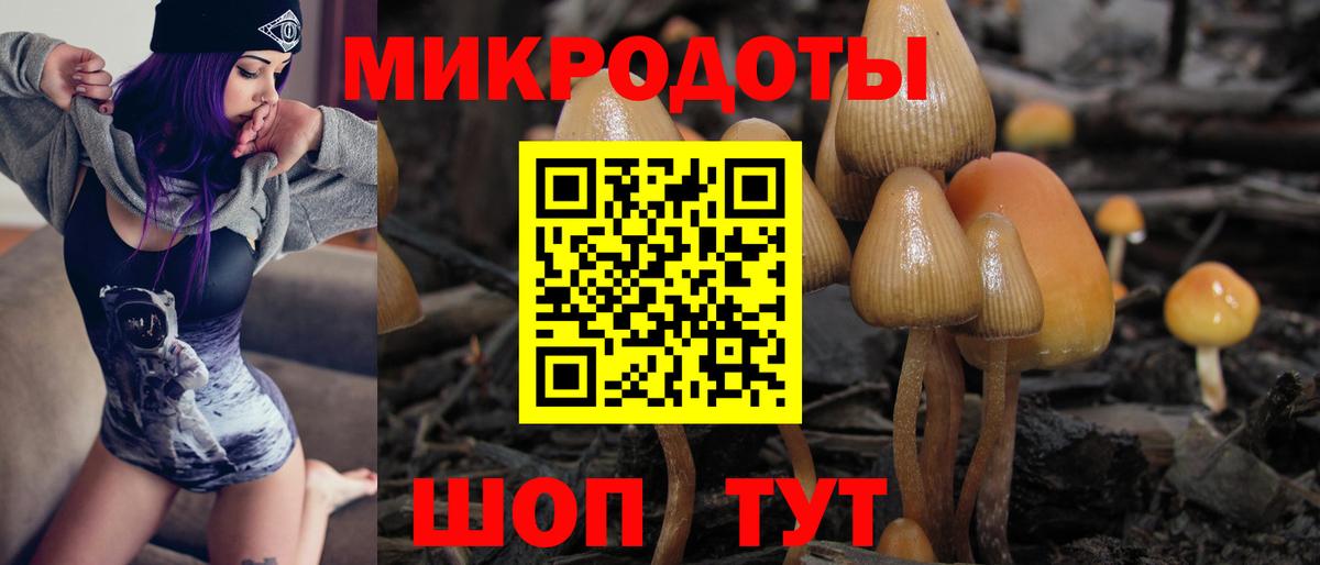 Галлюциногенные грибы мицелий Шатура