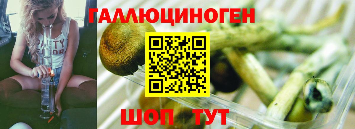 Шатура  Псилоцибиновые грибы мухоморы  Вход с VPN 