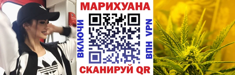 Каннабис гибрид  Шатура 