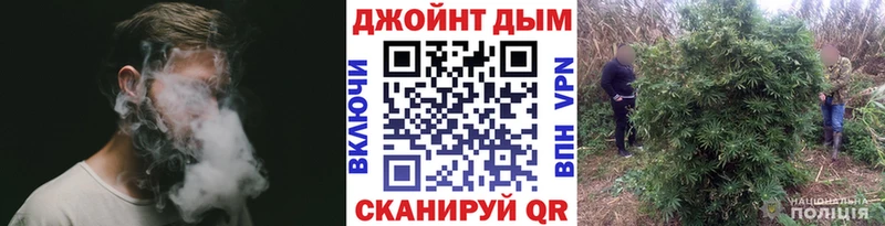 Каннабис SATIVA & INDICA Шатура